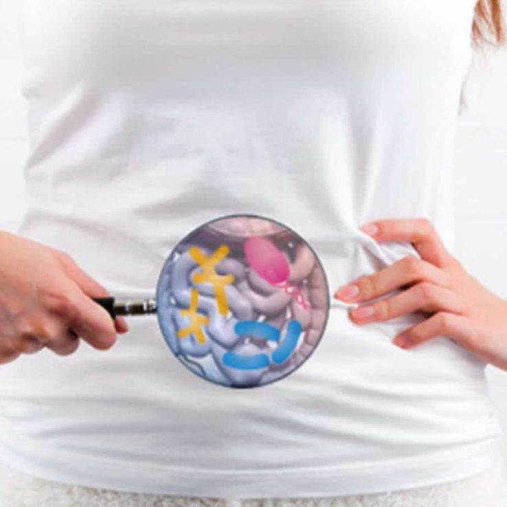 2-medium-flora-intestinala-doftoria-700×440