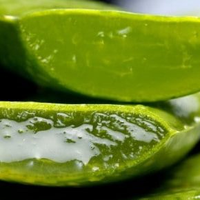 medium-articol-aloe-vera