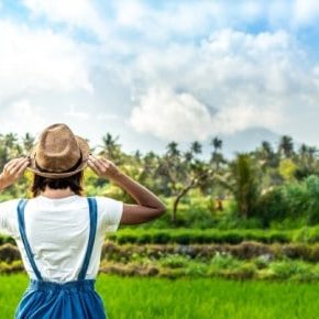 medium-nocist-infectii-urinare