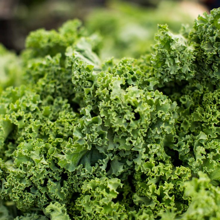 kale