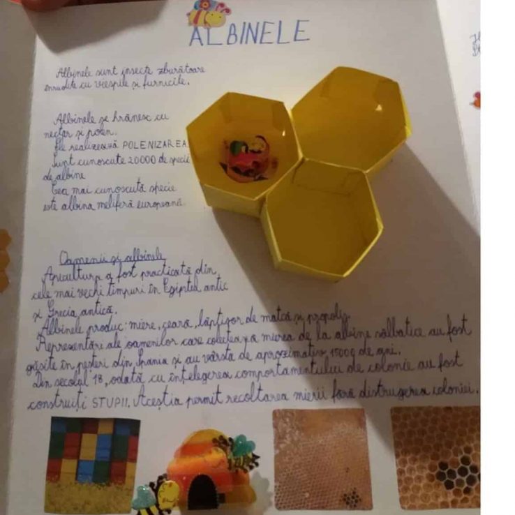 Art_propolis_IrinaCostache