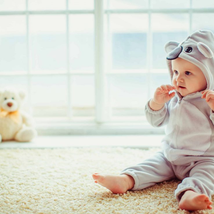 beautiful little boy sitting by the window